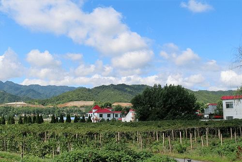 中国美丽乡村休闲旅游行 秋季 精品景点路线发布,南阳两县上榜